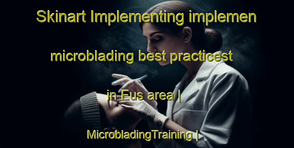 Skinart Implementing implemen microblading best practicest in Eus area | MicrobladingTraining | MicrobladingClasses | SkinartTraining-France